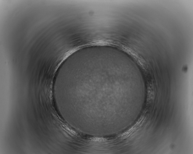 X0000100861170200806271153