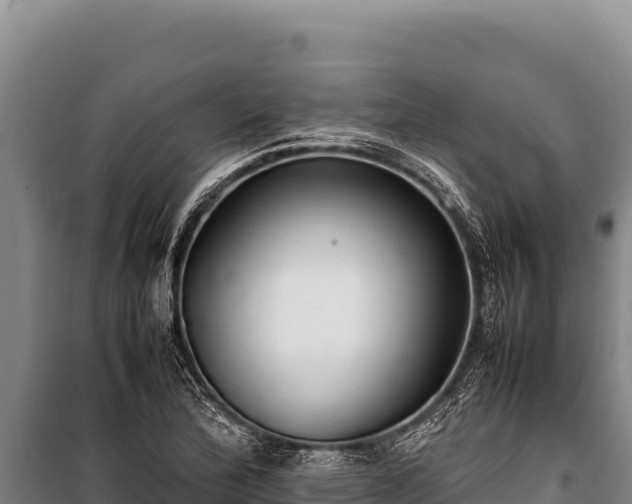 X0000100861172200806271153