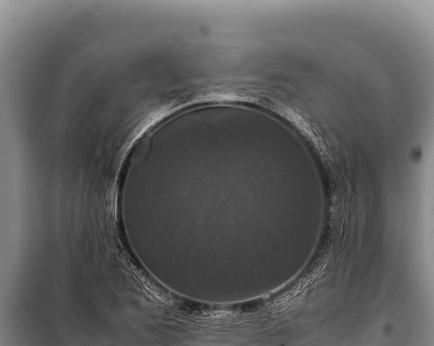 X0000100861173200806271153