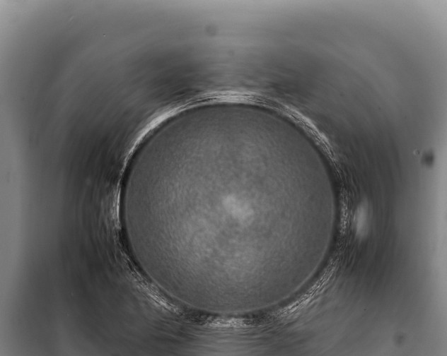 X0000100861174200806271153