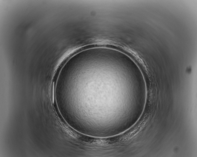 X0000100861175200806271153