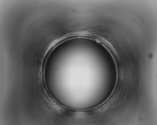 X0000100861176200806271153