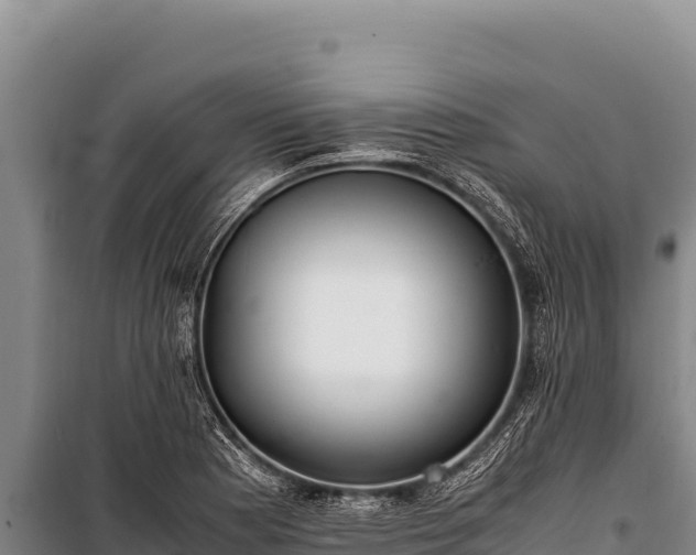 X0000100861177200806271153