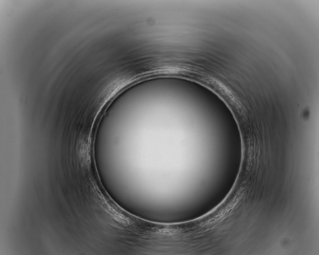 X0000100861178200806271153