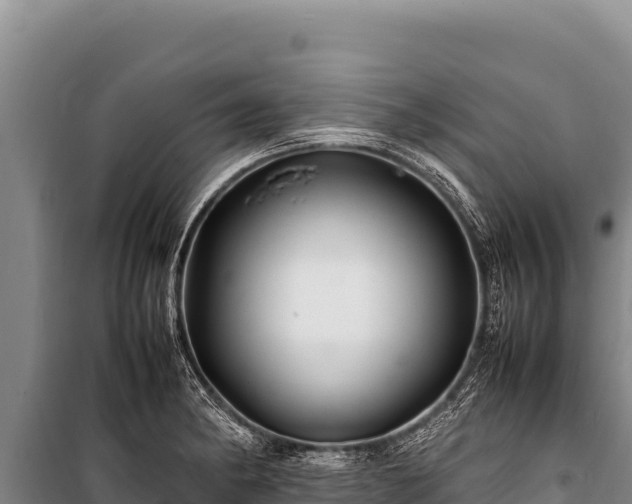 X0000100861182200806271152