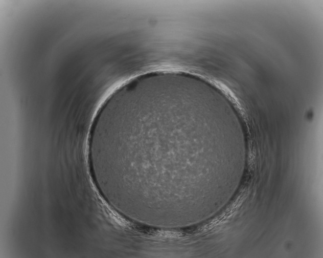 X0000100861183200806271152