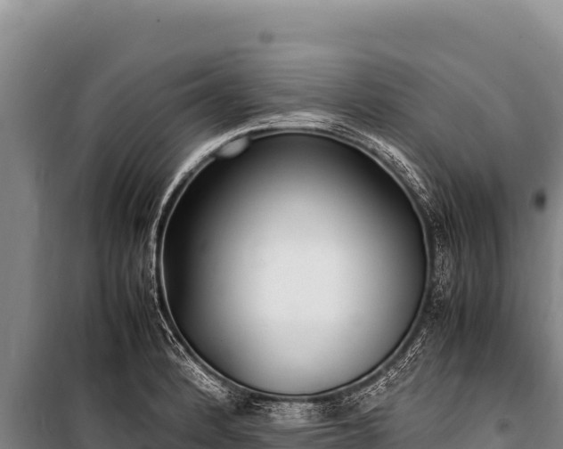 X0000100861184200806271152