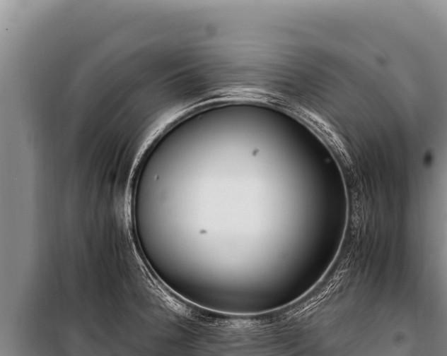 X0000100861188200806271152