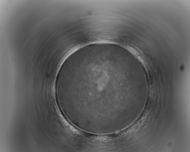 X0000100861189200806271152