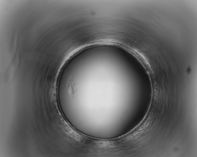 X0000100861192200806271152