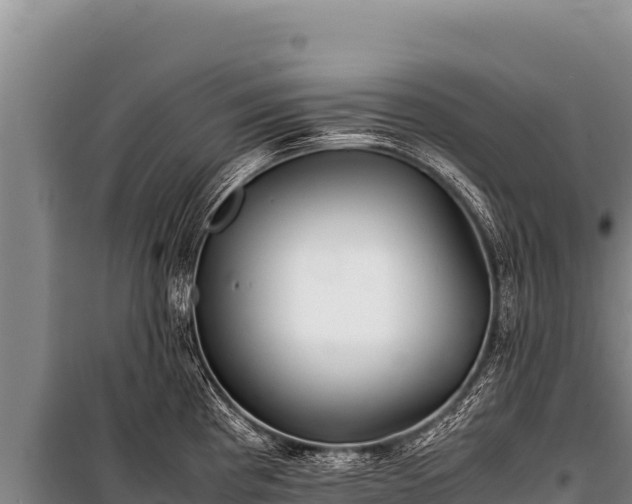 X0000100861193200806271152