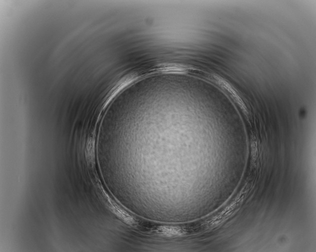 X0000100861194200806271152