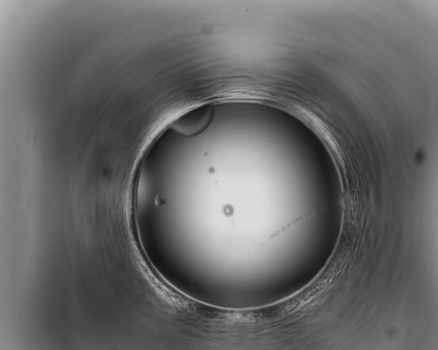 X0000100861195200806271152