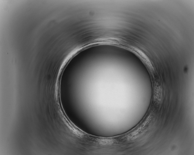 X0000100861196200806271152