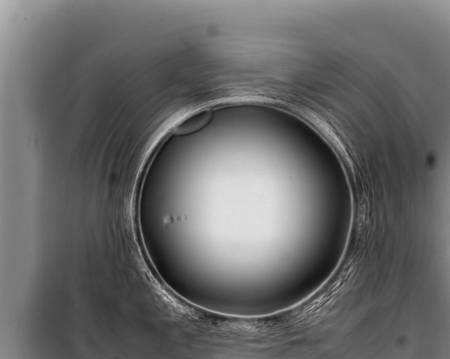 X0000100861197200806271152