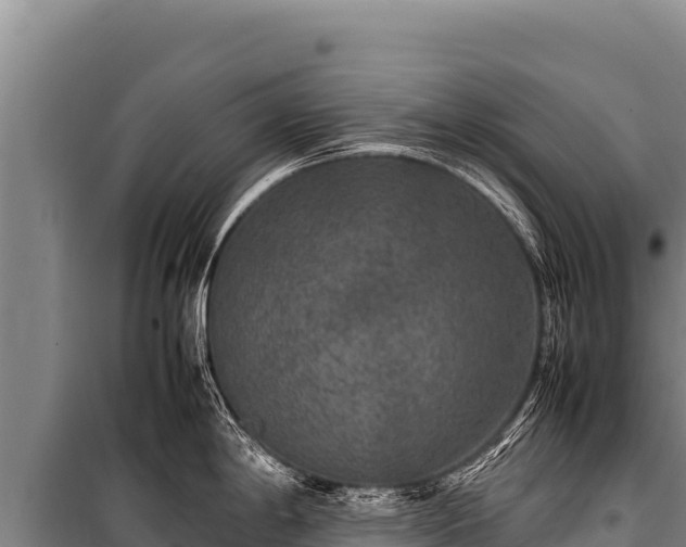 X0000100861198200806271152