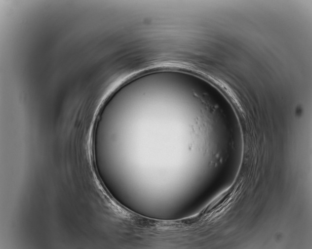 X0000100861199200806271152