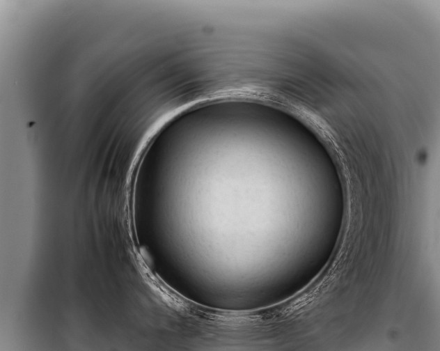 X0000100861200200806271152