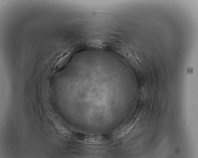 X0000100861201200806271151