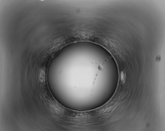 X0000100861203200806271151