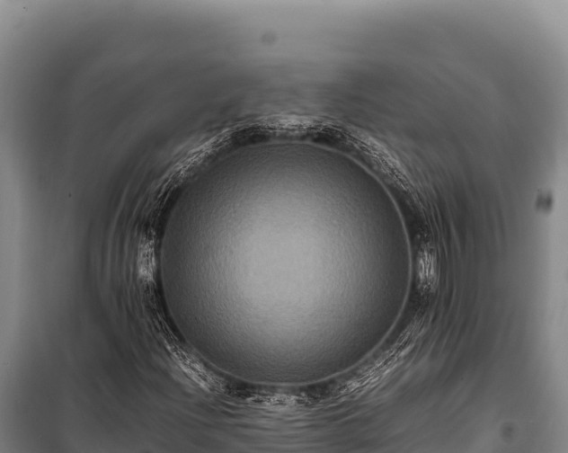 X0000100861204200806271151