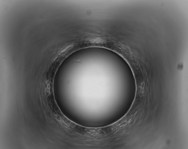 X0000100861205200806271151