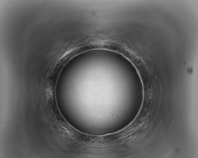 X0000100861206200806271151