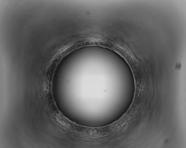 X0000100861207200806271151