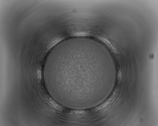 X0000100861209200806271152