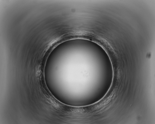 X0000100861210200806271152