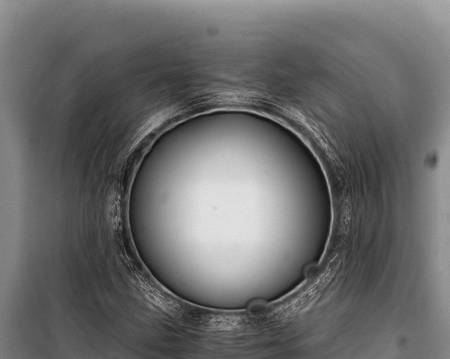 X0000100861211200806271152