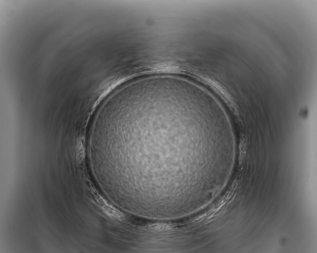 X0000100861212200806271152