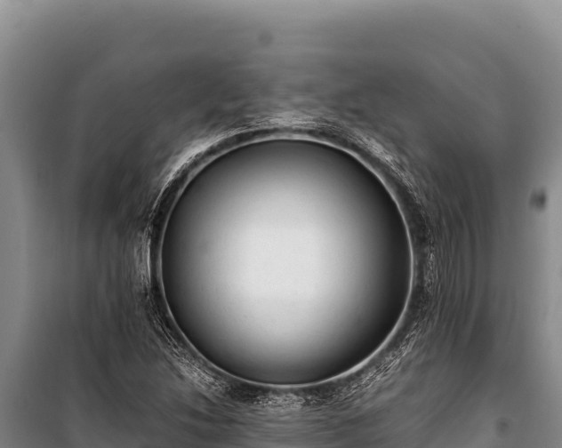 X0000100861214200806271152