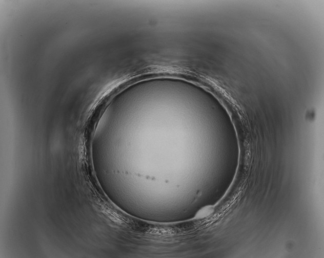 X0000100861215200806271152