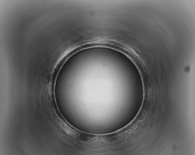 X0000100861216200806271152