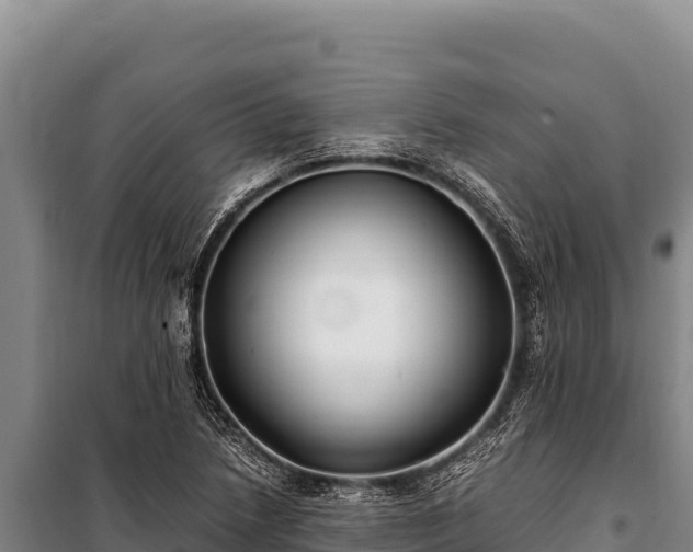 X0000100861218200806271152