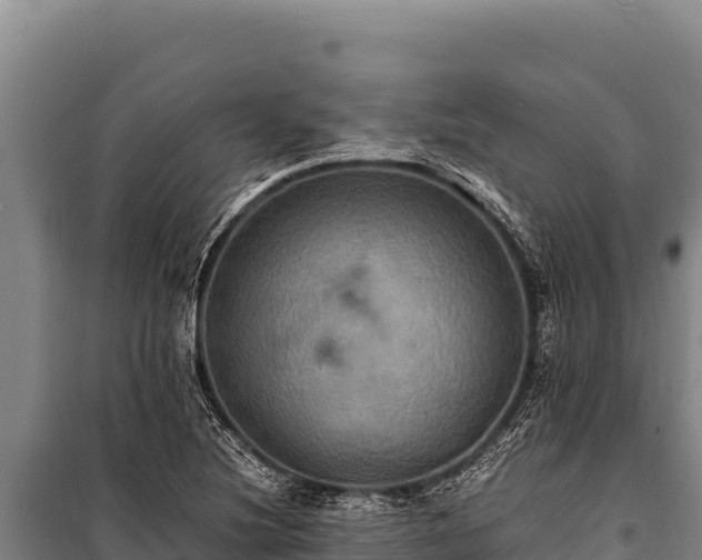 X0000100861220200806271152