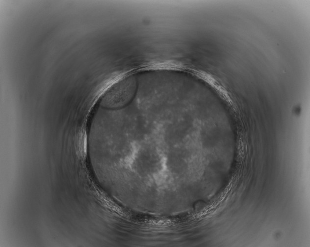 X0000100861221200806271152