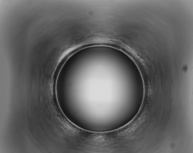 X0000100861222200806271152