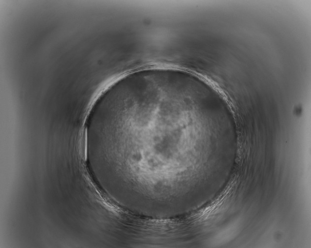 X0000100861223200806271152