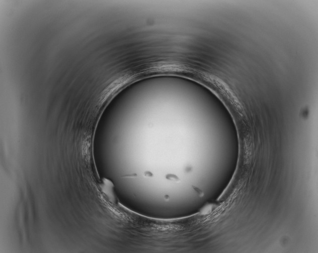 X0000100861225200806271152