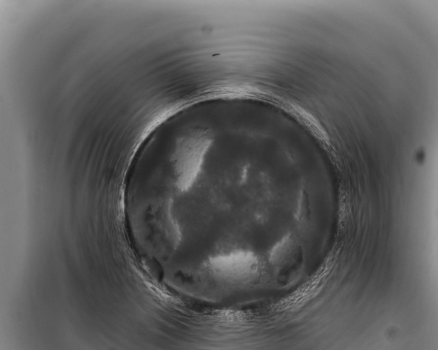 X0000100861226200806271152