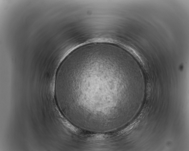 X0000100861228200806271152