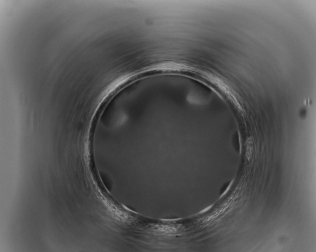 X0000100861229200806271152