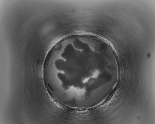 X0000100861231200806271152