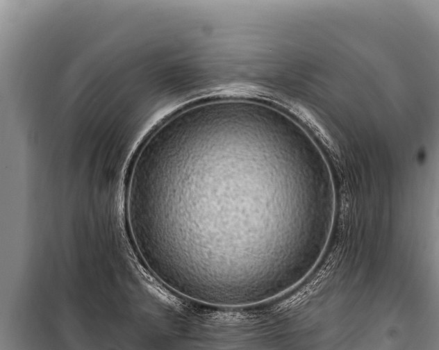 X0000100861232200806271152