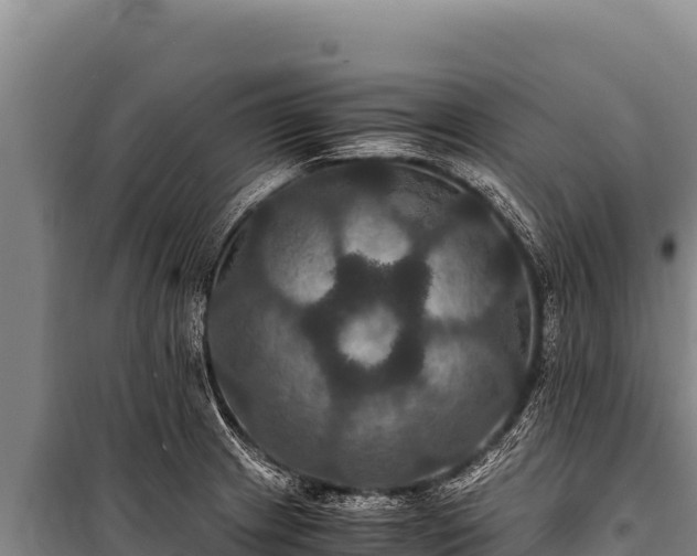 X0000100861233200806271152