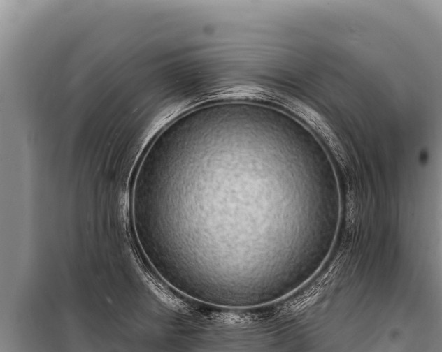 X0000100861234200806271152