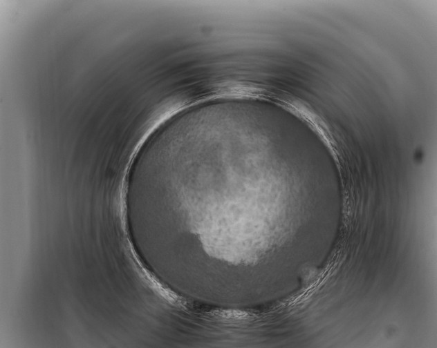 X0000100861235200806271152