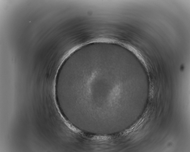 X0000100861237200806271152